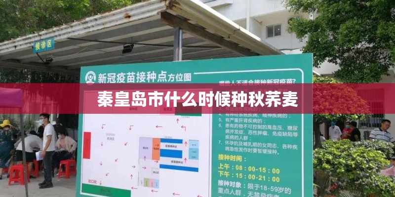 秦皇岛市什么时候种秋荞麦