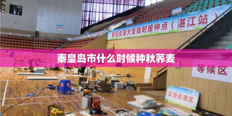 秦皇岛市什么时候种秋荞麦