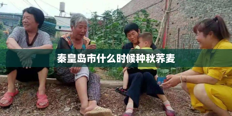 秦皇岛市什么时候种秋荞麦