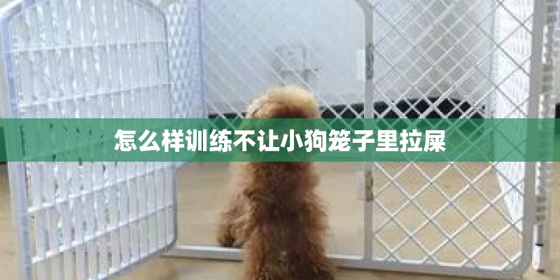 怎么样训练不让小狗笼子里拉屎