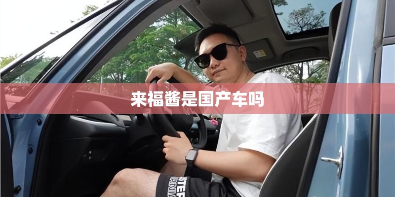 来福酱是国产车吗