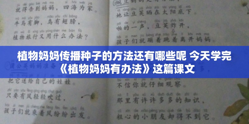 植物妈妈传播种子的方法还有哪些呢 今天学完《植物妈妈有办法》这篇课文