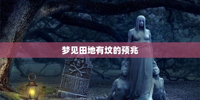 北方春季室内种植花草养护知识