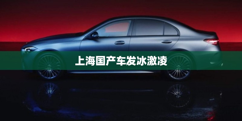 上海国产车发冰激凌