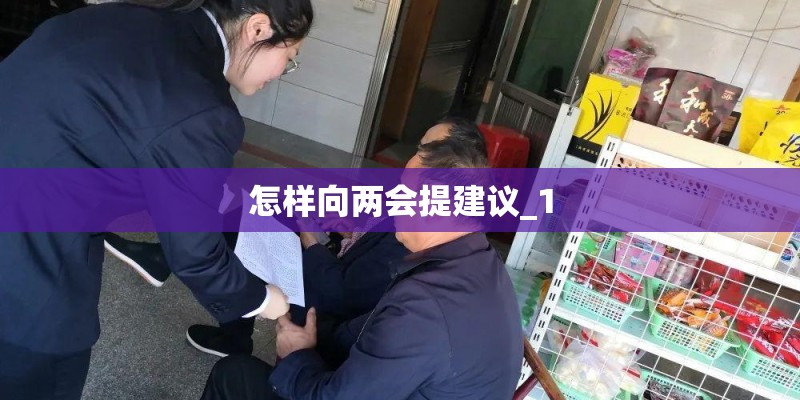 怎样向两会提建议_1