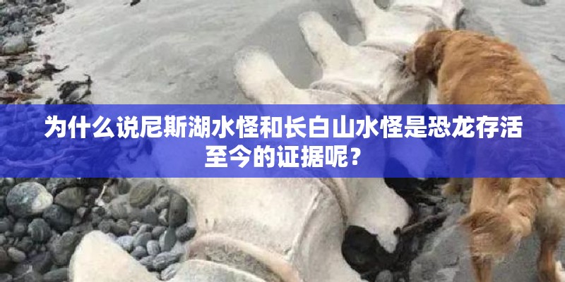 为什么说尼斯湖水怪和长白山水怪是恐龙存活至今的证据呢？