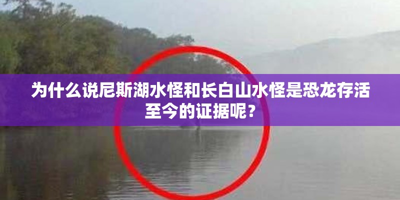 为什么说尼斯湖水怪和长白山水怪是恐龙存活至今的证据呢？
