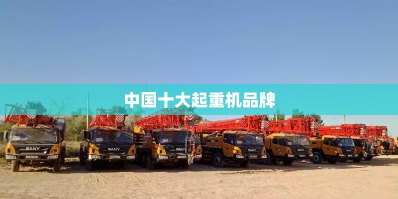 中国十大起重机品牌