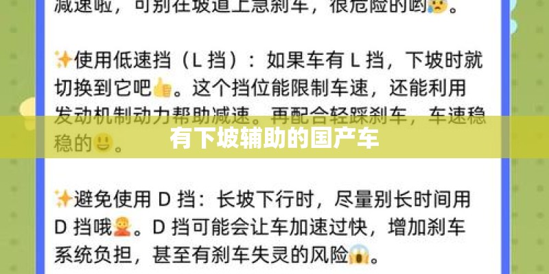 有下坡辅助的国产车