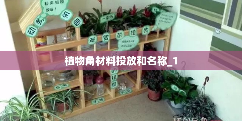 植物角材料投放和名称_1