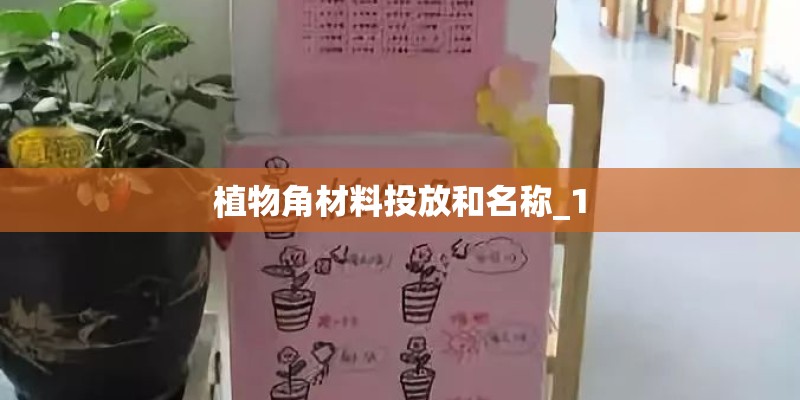 植物角材料投放和名称_1
