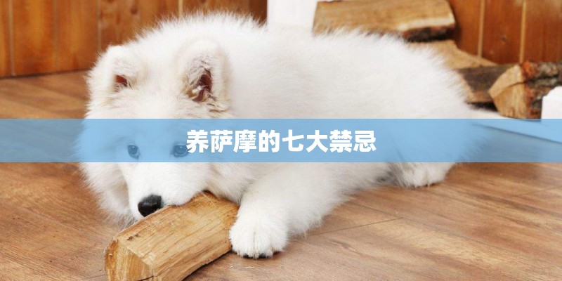 养萨摩的七大禁忌