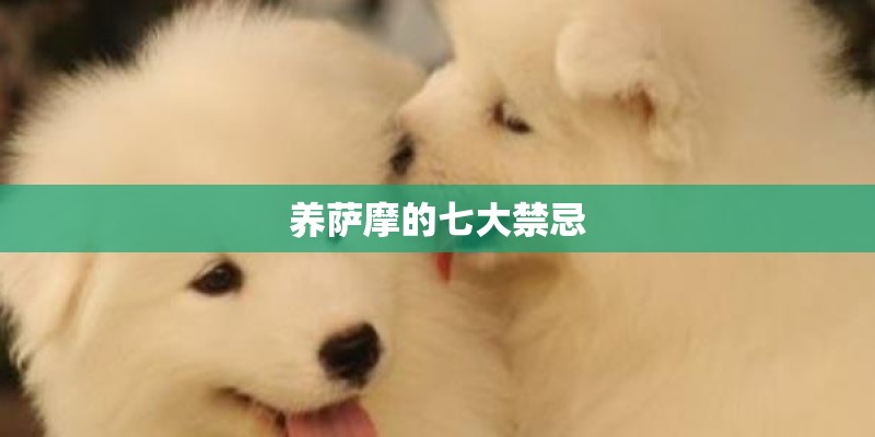 养萨摩的七大禁忌