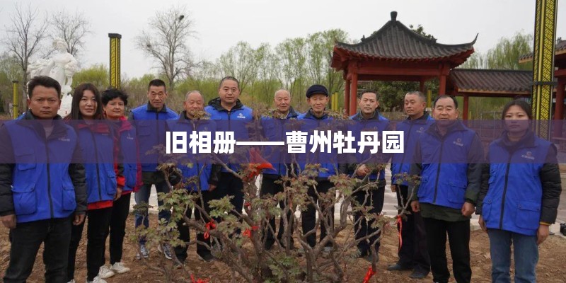 旧相册——曹州牡丹园