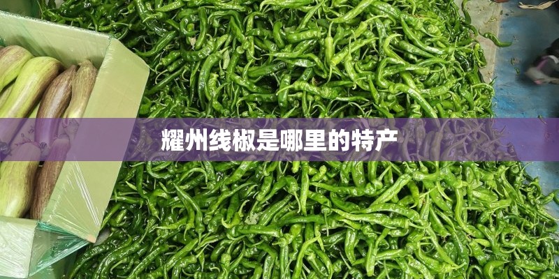 耀州线椒是哪里的特产