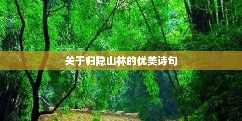 关于归隐山林的优美诗句