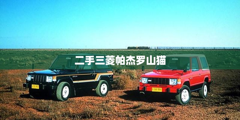 二手三菱帕杰罗山猫