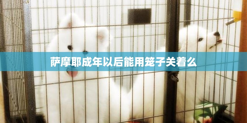 萨摩耶成年以后能用笼子关着么