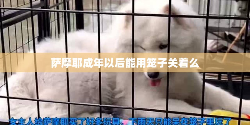 萨摩耶成年以后能用笼子关着么