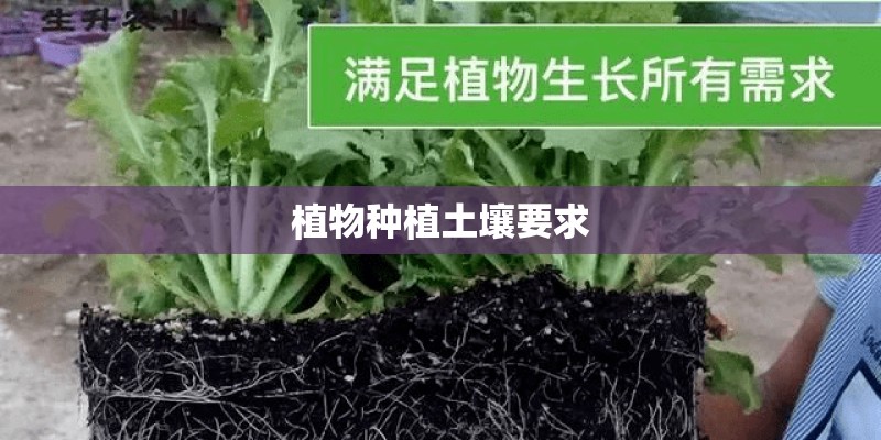 植物种植土壤要求