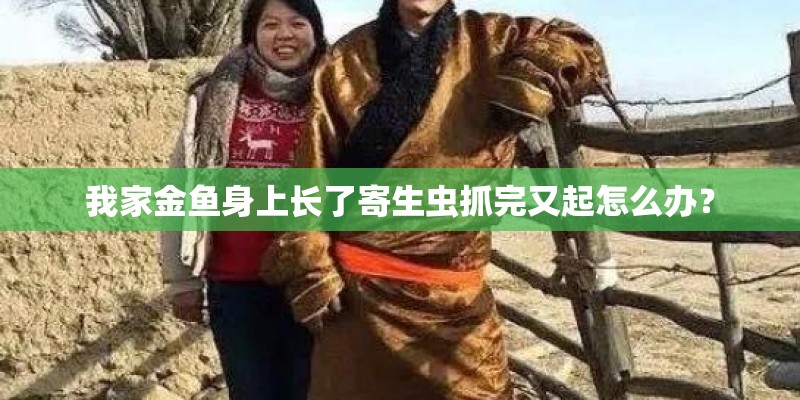 我家金鱼身上长了寄生虫抓完又起怎么办？