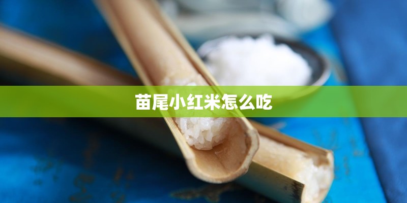 苗尾小红米怎么吃