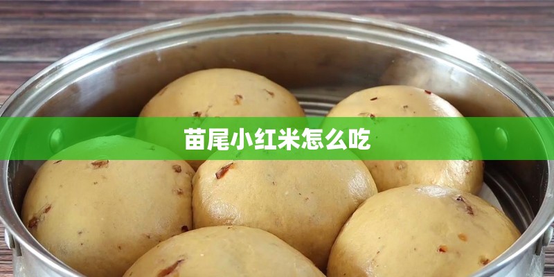 苗尾小红米怎么吃