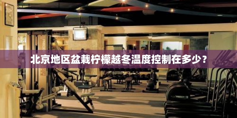北京地区盆栽柠檬越冬温度控制在多少？