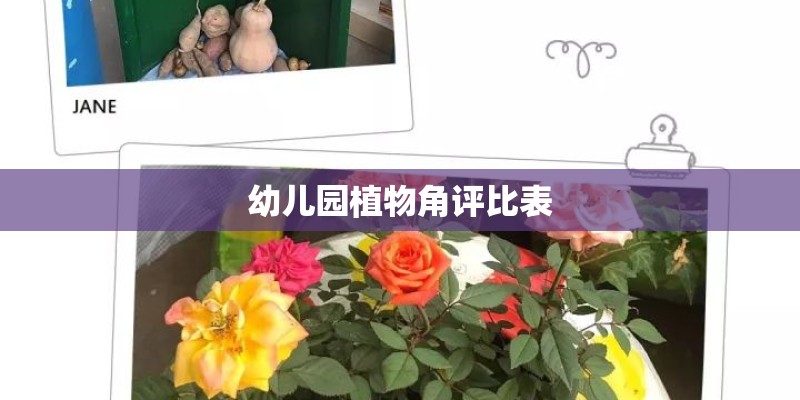 幼儿园植物角评比表
