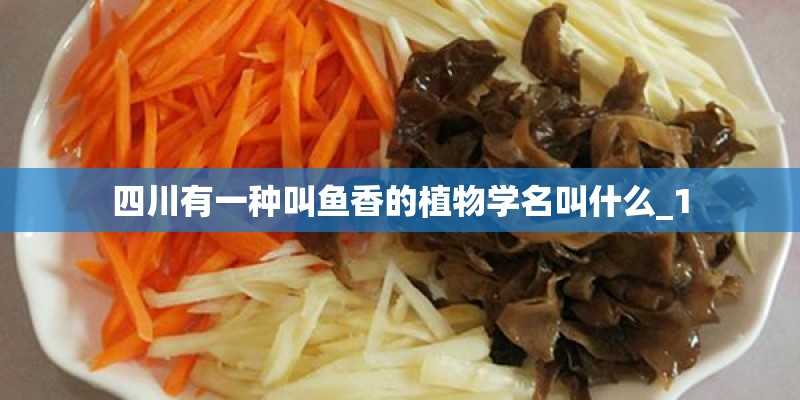 四川有一种叫鱼香的植物学名叫什么_1 四川有一种叫鱼香的植物学名叫什么_1