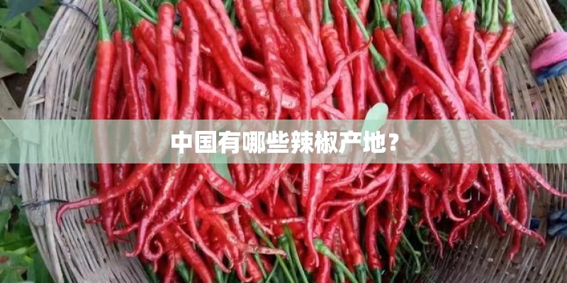 中国有哪些辣椒产地? 中国有哪些辣椒产地?
