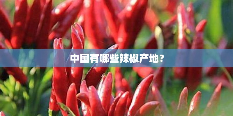 中国有哪些辣椒产地? 中国有哪些辣椒产地?