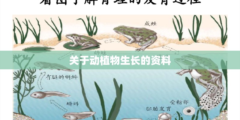 关于动植物生长的资料