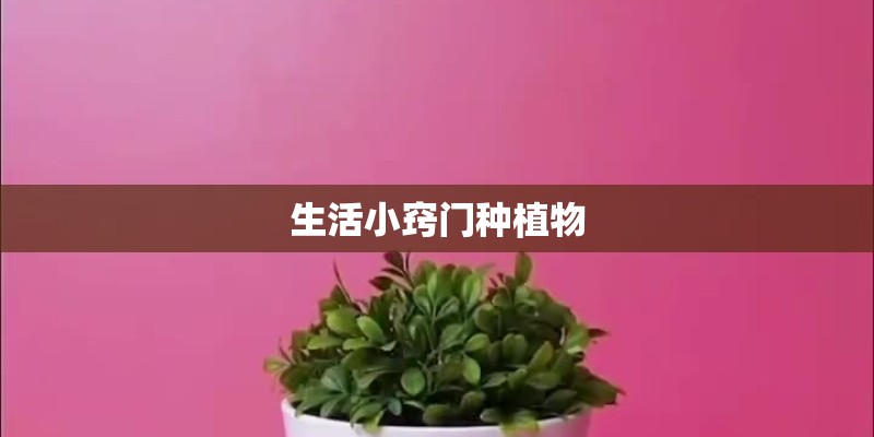 生活小窍门种植物