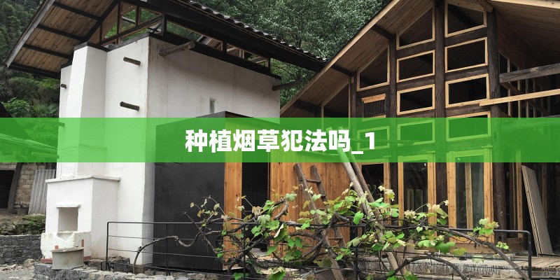 种植烟草犯法吗_1