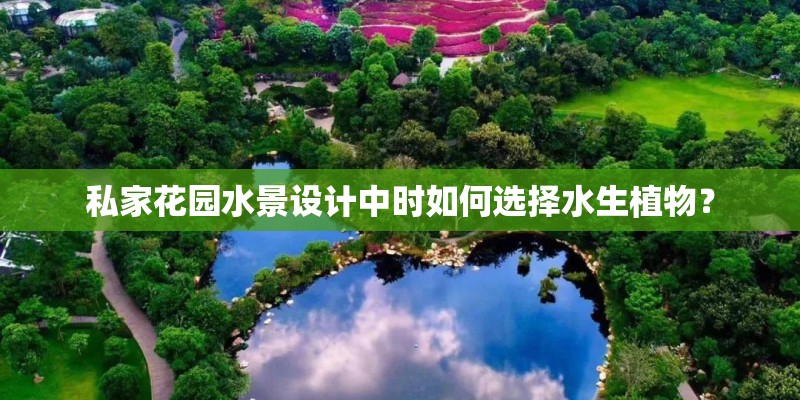 私家花园水景设计中时如何选择水生植物? 私家花园水景设计中时如何选择水生植物?