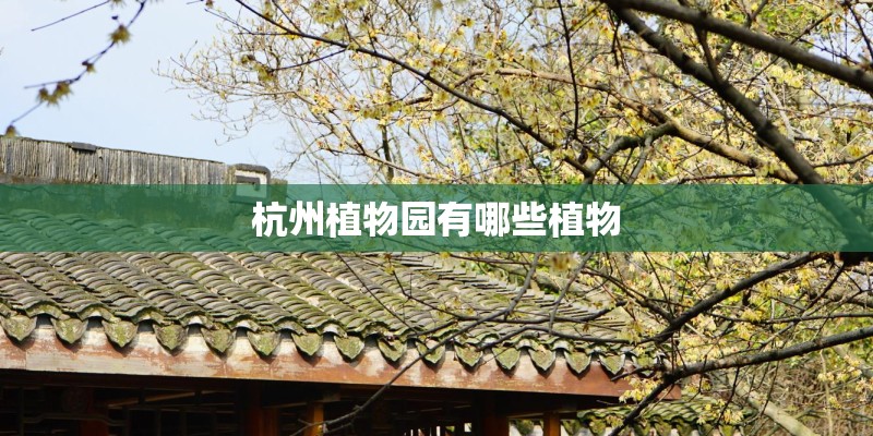 杭州植物园有哪些植物 杭州植物园有哪些植物