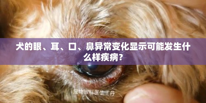 犬的眼、耳、口、鼻异常变化显示可能发生什么样疾病？