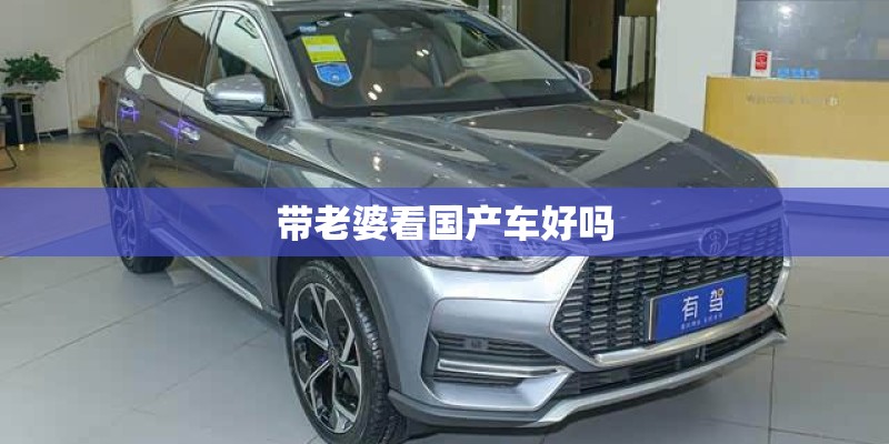 带老婆看国产车好吗