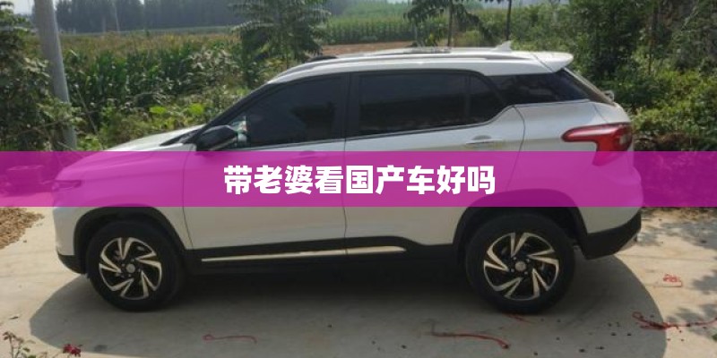 带老婆看国产车好吗