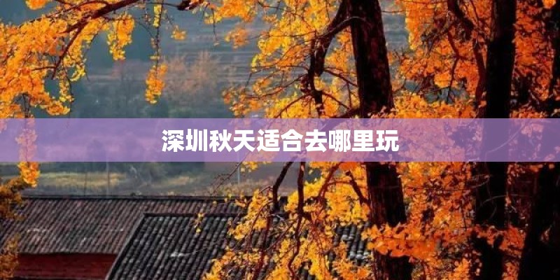深圳秋天适合去哪里玩