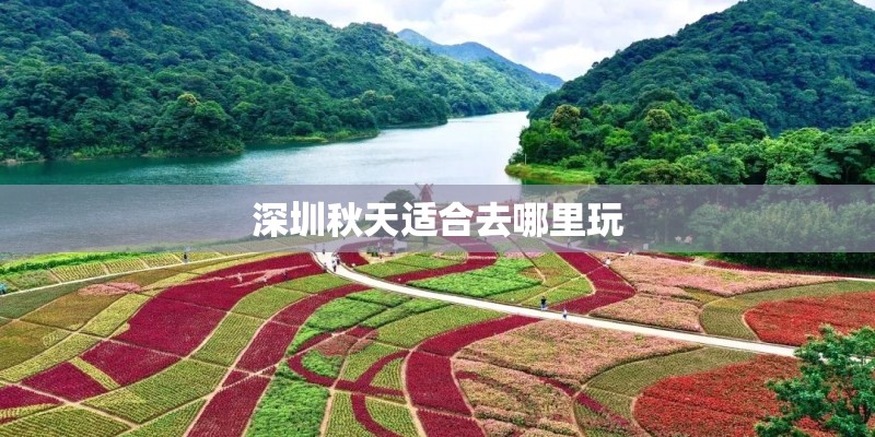 深圳秋天适合去哪里玩 深圳秋天适合去哪里玩