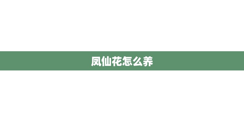凤仙花怎么养