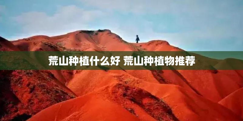 荒山种植什么好 荒山种植物推荐