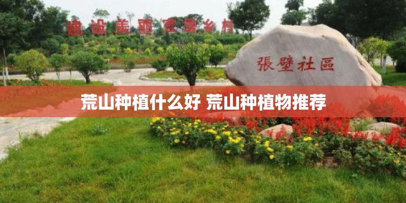 荒山种植什么好 荒山种植物推荐 荒山种植什么好 荒山种植物推荐