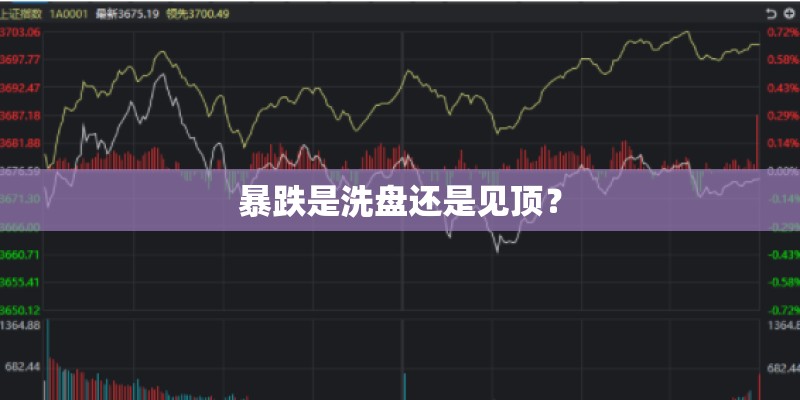 暴跌是洗盘还是见顶? 暴跌是洗盘还是见顶?