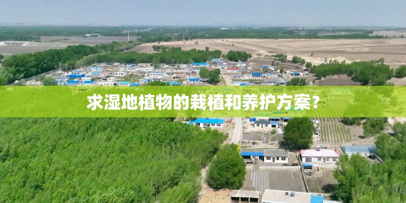 求湿地植物的栽植和养护方案? 求湿地植物的栽植和养护方案?