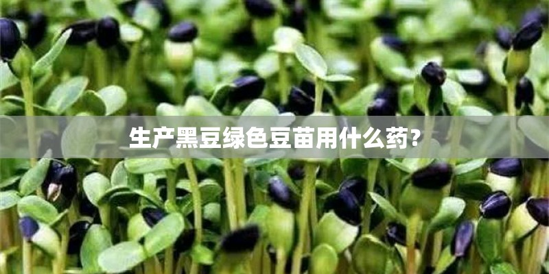 生产黑豆绿色豆苗用什么药? 生产黑豆绿色豆苗用什么药?