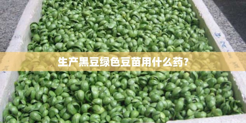 生产黑豆绿色豆苗用什么药? 生产黑豆绿色豆苗用什么药?