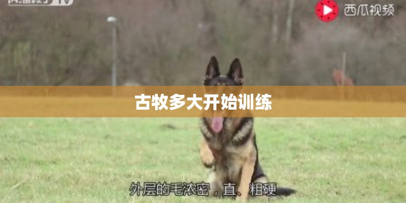 古牧多大开始训练